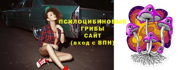 ПСИЛОЦИБИНОВЫЕ ГРИБЫ Баксан