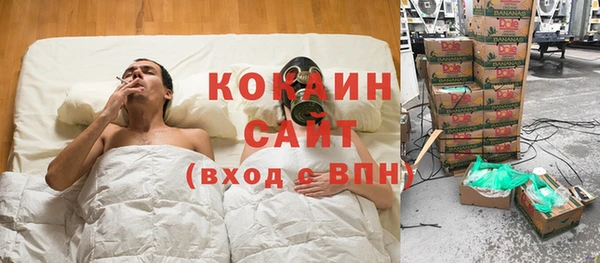 ПСИЛОЦИБИНОВЫЕ ГРИБЫ Баксан