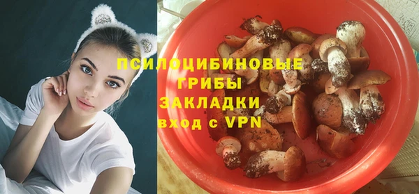 ПСИЛОЦИБИНОВЫЕ ГРИБЫ Баксан